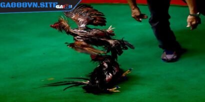 Hãy sử dụng Wi-Fi mạnh hoặc gói dữ liệu di động tốc độ cao tránh tình trạng giật